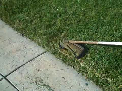 how to trim grass plants