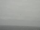 Exibicion aerea Mirage 2000 Gijon (Asturias) Exibicion aerea Mirage 2000 Gijon (Asturias)
