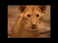 ZOBOOMAFOO cantando - Best Qualy (brazilian portuguese)