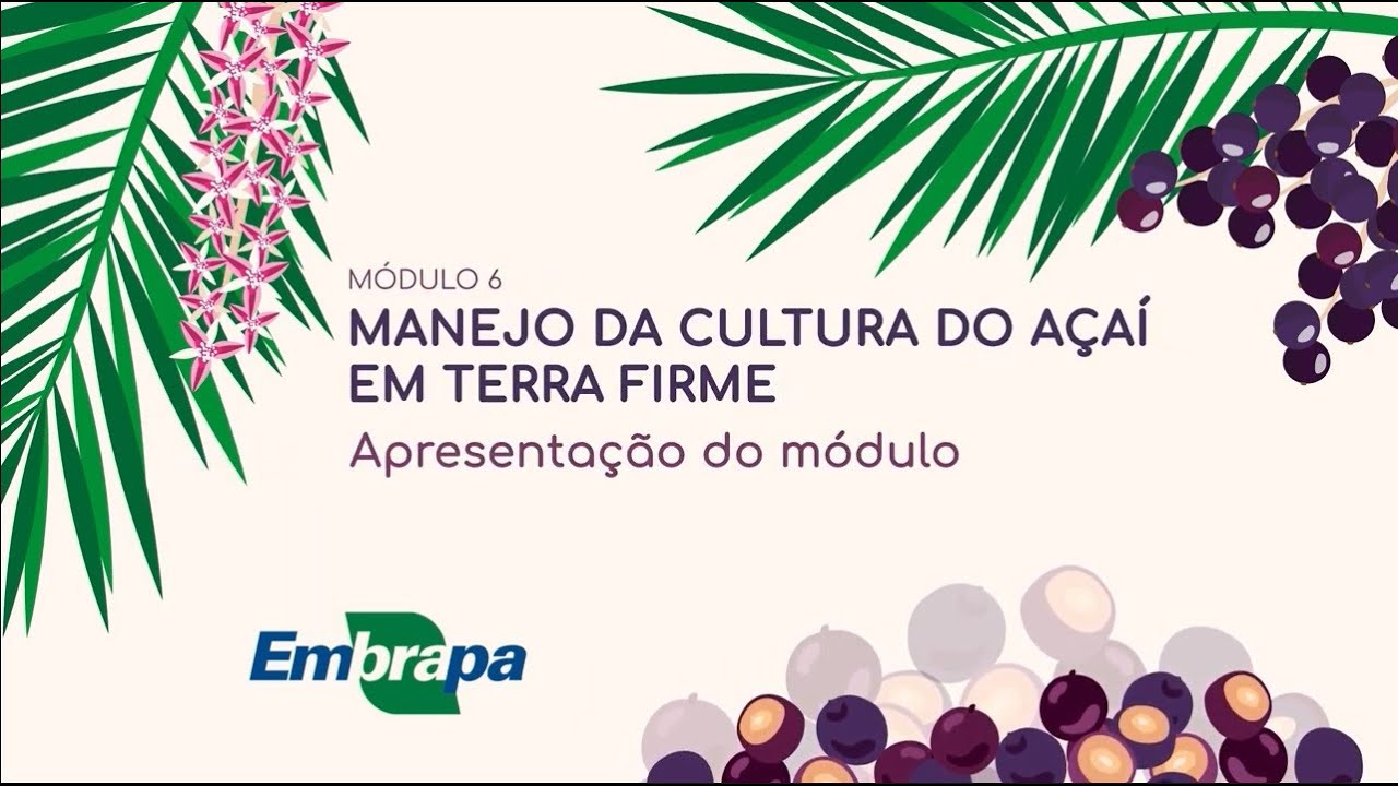 EMBRAPA PA M6 cap1 Apresentação do modulo v2 240822