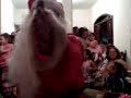 Feliz Natal Dornelas