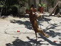Flojo's daily fun.