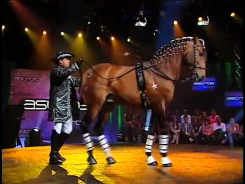 cavalos - Adestrador de cavalos surpreende jurados com show Programa exibido em 10/09/12.