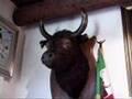 Camargue-3-Ecole-tau