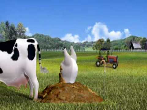 Polar bear - I love Sky