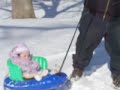 Emelina & Bruce Sleigh Ride! Emelina & Bruce Sleigh Ride!
