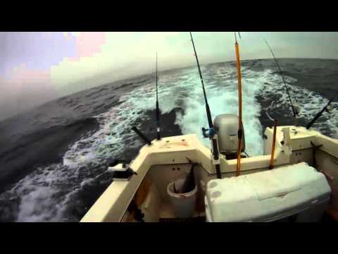 North Cal Sportfishing - No edit just test.