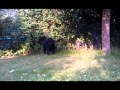 sigvard!!.wmv