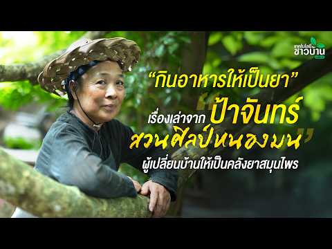 กินอาหารให้เป็นยา เรื่องเล่าจากป้าจันทร์ สวนศิลป์หนองมน ทำบ้านเป็นคลังยาสมุนไพร | เทคโนโลยีชาวบ้าน