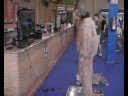 Donkey Jugando DDR