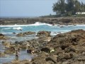 Hawaii Vacation Slideshow