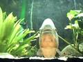 videos de Imagen 067.avi