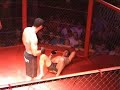 Mamed Khalidov vs Michal Garnys Part 2 of 2