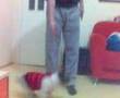 peti kendini �l� sanan kopek