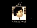 ahmad wali - raga