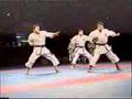 Shotokan Unsu Bunkai WKF World Championship