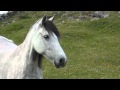 A unique view of The Aran Islands - YouTube