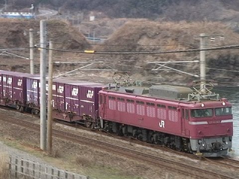 信越本線 貨物列車(3093レ) JR東日本のEF81、貨物列車牽引