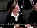 Jan. 2008 CFS-Ontario Standing Committee on Finance Presentation
