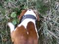 videos de Cuko Zucjo