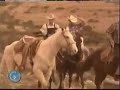 bloopers el manantial