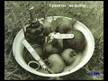 Palwan Halmyrat Bagysla Eje