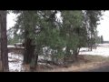 Hide your HDTV Antenna for Christmas.avi