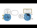 How Your Mind Works, with Daniel Kahneman (author of Thinking, Fast and Slow)