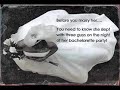 PostSecret - Deception