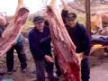 Attenzione cha cada u puarcu du gammiaddł a Falerna Attenzione cha cada u puarcu du gammiaddł a Falerna