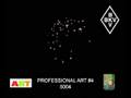 Professional Art 04 - 5004