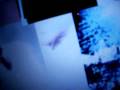 videos de 