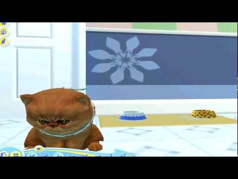Petz: Catz