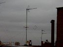 Patrulla Águila 1