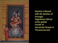 Paramahamsa Nithyananda - Early Childhood Chronicles