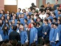 CJC & CJM - Salvo Estou