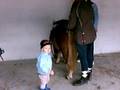 videos de TONI REPARE SON CHEVAL