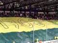 MSK Zilina vs Petrzalka najvacsia vlajka