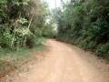 USINA DA FUMAÇA - MURIAÉ-MG