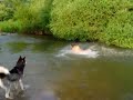 nisava jump