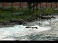 videos de Mauvais surf à Valleyfield