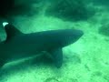 video of costa rica-best of