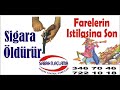 k-k-nuri-alo-peinde-2-.html