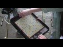 Scrabble Squabble