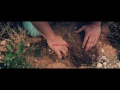 SHARIF PRESENTA EL VIDEOCLIP DE «APOLO Y DAFNE»