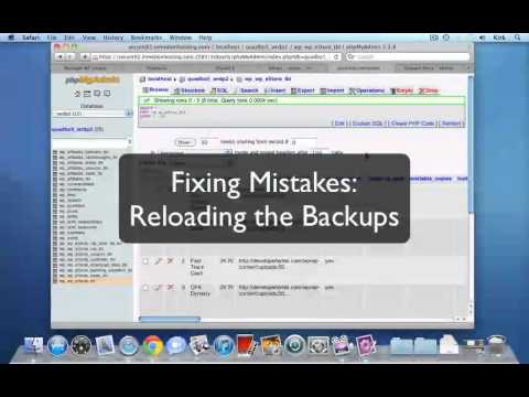 how to export wordpress database