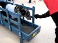 Spotted Dog uses dog treadmill at La Centerra in Katy TX