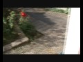 une vid�o de conclusion � propos du projet expos� l� : www.lapagedujour.net et je dois dire, le plus proche de ce que j'ai fait en blog vid� sinc�re, sans faire le con, jusqu'� pr�sent.