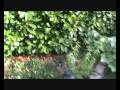 une vid�o de conclusion � propos du projet expos� l� : www.lapagedujour.net et je dois dire, le plus proche de ce que j'ai fait en blog vid� sinc�re, sans faire le con, jusqu'� pr�sent.