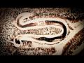 Deadly Bowel Worms